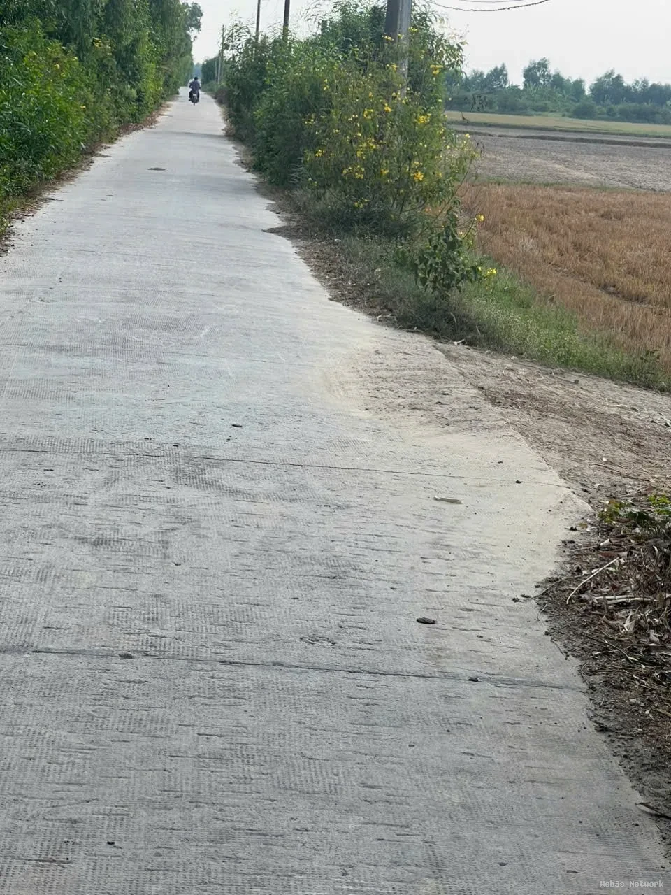 CƠ HỘI ĐẦU TƯ GIÁ TỐT – Chính Chủ Bán Gấp Lô Đất Trồng Lúa Xã Bình Thành, Đức Huệ, Long An 4