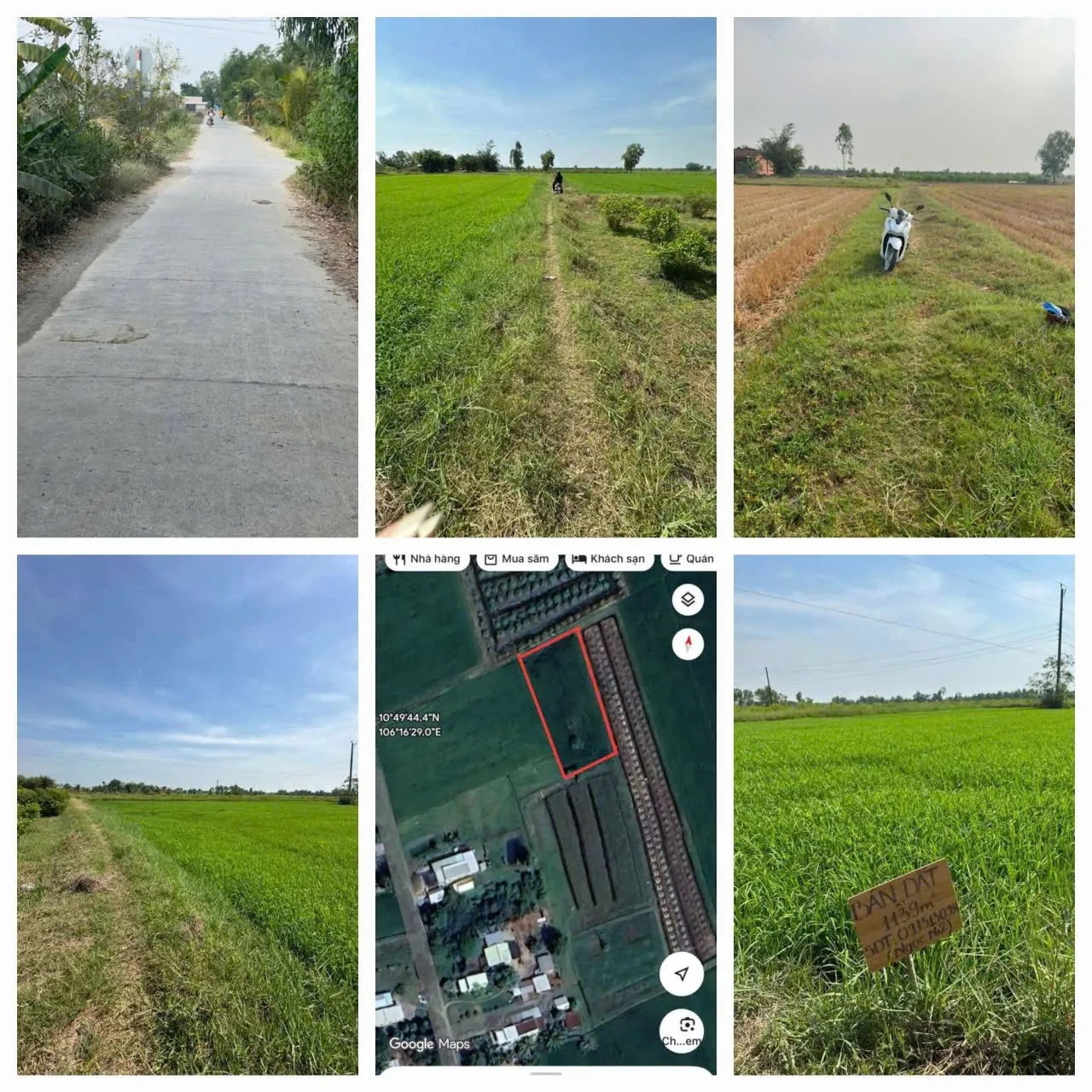CƠ HỘI ĐẦU TƯ GIÁ TỐT – Chính Chủ Bán Gấp Lô Đất Trồng Lúa Xã Bình Thành, Đức Huệ, Long An 3