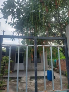 HOT HOT – CẦN BÁN NHÀ ĐẤT GIÁ TỐT TẠI KV 6, phường Bùi Thị Xuân, TP. Quy Nhơn, Bình Định.
