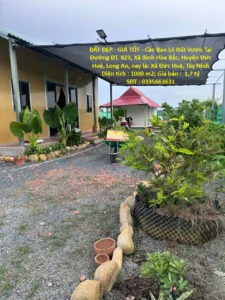 ĐẤT ĐẸP – GIÁ TỐT – Cần Bán Lô Đất Vườn Tại Đường ĐT. 823, Xã Bình Hòa Bắc, Huyện Đức Huệ, Long An.