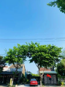 CHÍNH CHỦ CẦN BÁN ĐẤT MẶT TIỀN MAI ĐĂNG TRƠN – Vị Trí Đẹp, Quỹ Đất Hiếm Tại Phường Hòa Hải.