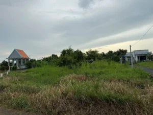 ĐẤT CHÍNH CHỦ – GIÁ TỐT Cần Bán Tại Bờ Mồi, Xã Phước Tuy, Huyện Cần Đước, Long An