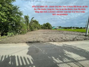 ĐẦU TƯ SINH LỜI – Chính Chủ Bán Trọn 3 thửa đất thuộc xã Tân Ân, Cần Đước, Long An