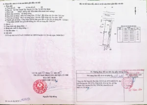 CHÍNH CHỦ BÁN NHÀ VỊ TRÍ ĐẸP – GÓC 2 MẶT TIỀN GẦN NGÃ TƯ TÂN QUY – xã Tân Thạnh Tây, Củ Chi, HCM